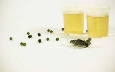 Is it a Crime to Fail a Drug Test in Omaha Nebraska?