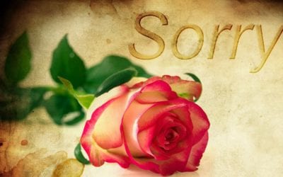 Divorce or Annulment
